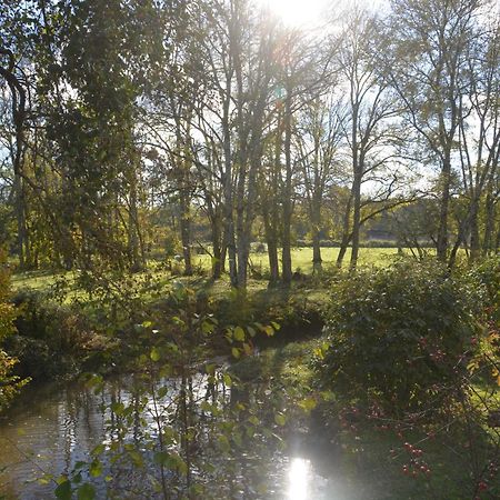Le Moulin Grenon Bed & Breakfast Mezilles Bagian luar foto