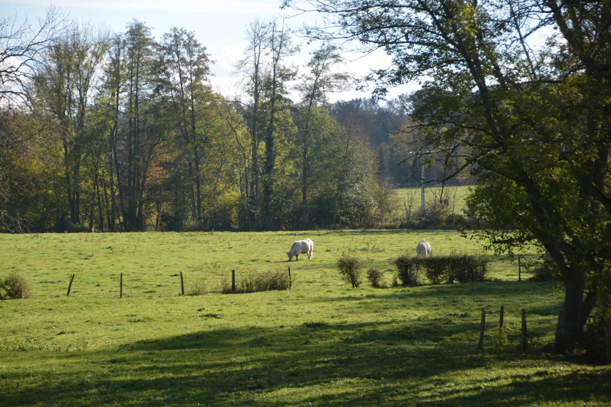 Le Moulin Grenon Bed & Breakfast Mezilles Bagian luar foto